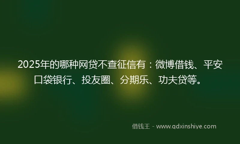 2025年的哪种网贷不查征信有：微博借钱、平安口袋银行、投友圈、分期乐、功夫贷等。