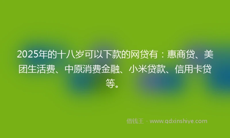 2025年的十八岁可以下款的网贷有：惠商贷、美团生活费、中原消费金融、小米贷款、信用卡贷等。