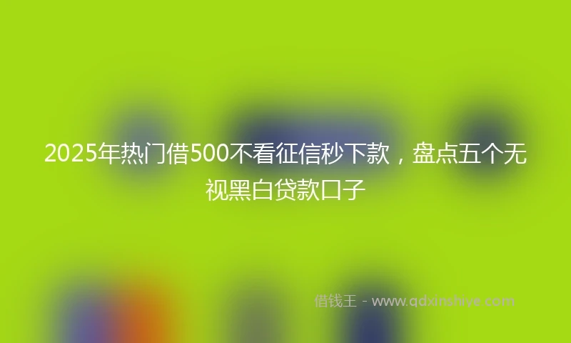2025年热门借500不看征信秒下款,盘点五个无视黑白贷款口子