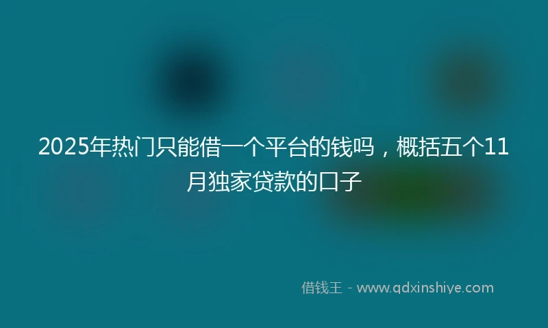 2025年热门只能借一个平台的钱吗，概括五个11月独家贷款的口子