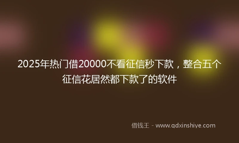 2025年热门借20000不看征信秒下款，整合五个征信花居然都下款了的软件