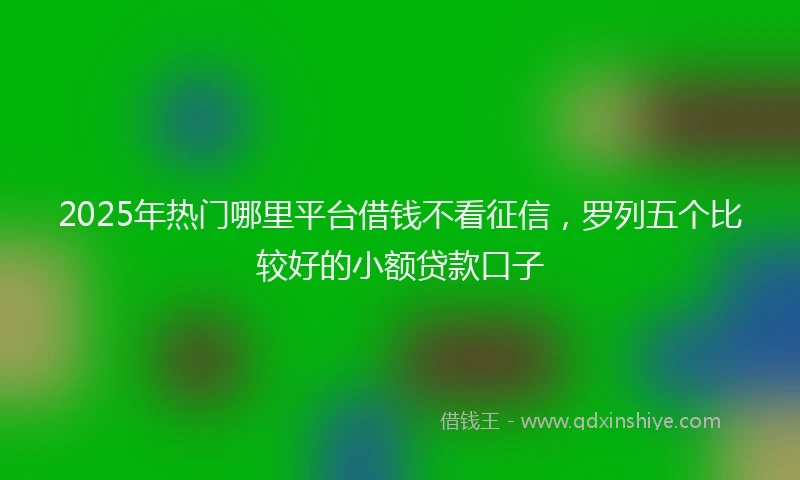 2025年热门哪里平台借钱不看征信，罗列五个比较好的小额贷款口子