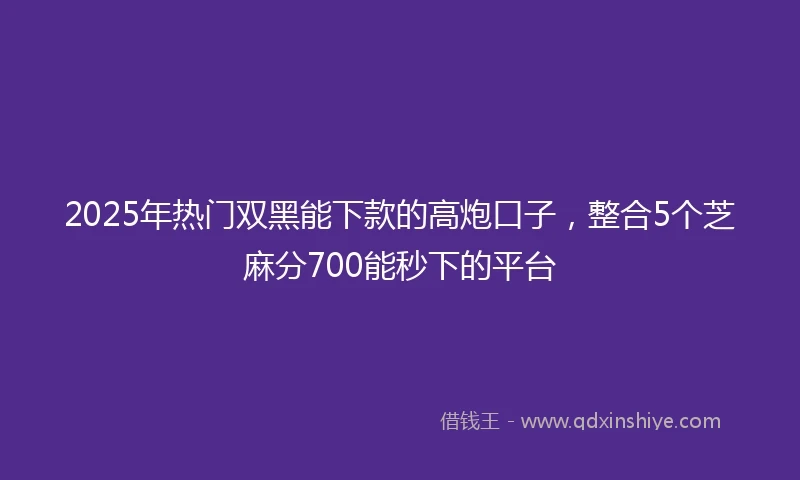 2025年热门双黑能下款的高炮口子，整合5个芝麻分700能秒下的平台