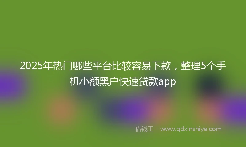 2025年热门哪些平台比较容易下款，整理5个手机小额黑户快速贷款app