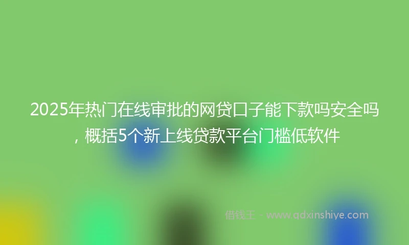 2025年热门在线审批的网贷口子能下款吗安全吗，概括5个新上线贷款平台门槛低软件