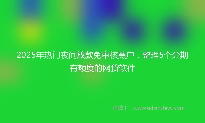 2025年热门夜间放款免审核黑户,整理5个分期有额度的网贷软件
