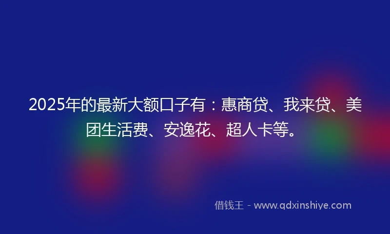 2025年的最新大额口子有：惠商贷、我来贷、美团生活费、安逸花、超人卡等。