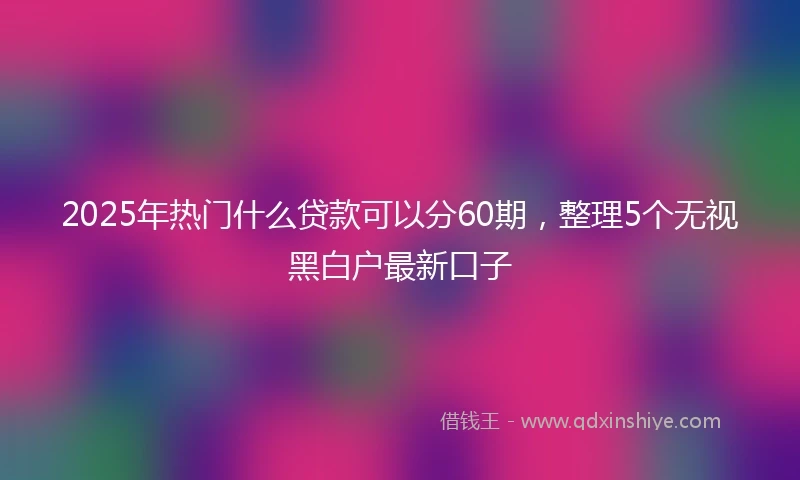 2025年热门什么贷款可以分60期，整理5个无视黑白户最新口子