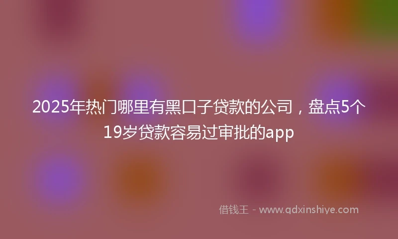 2025年热门哪里有黑口子贷款的公司，盘点5个19岁贷款容易过审批的app