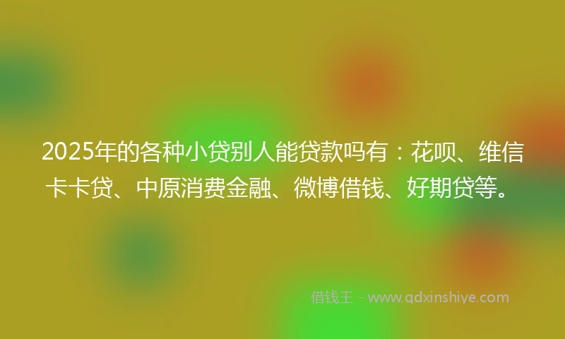 2025年的各种小贷别人能贷款吗有:花呗、维信卡卡贷、中原消费金融、微博借钱、好期贷等。