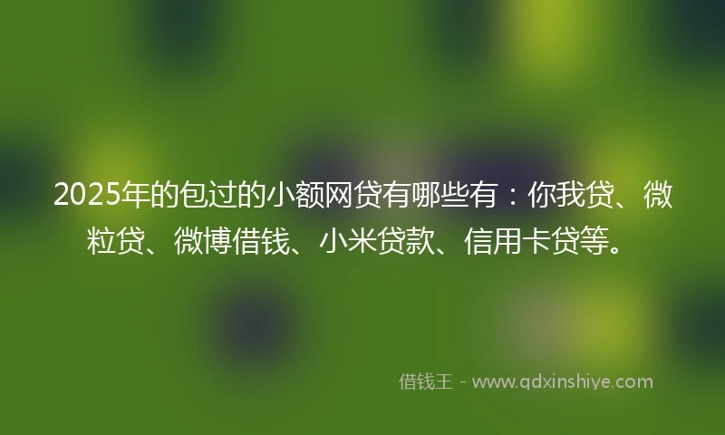 2025年的包过的小额网贷有哪些有：你我贷、微粒贷、微博借钱、小米贷款、信用卡贷等。