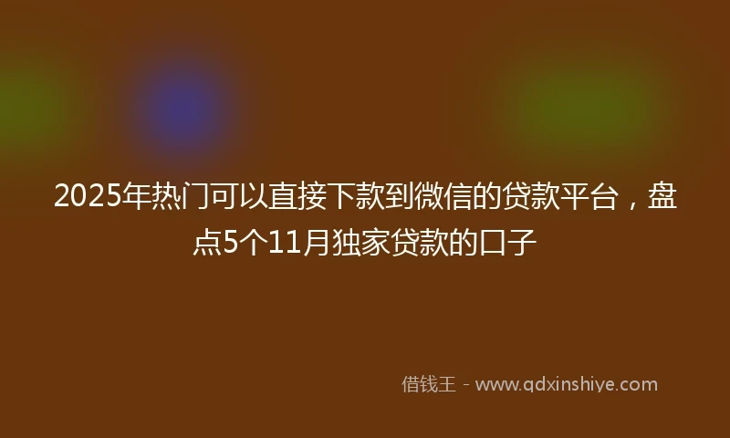 2025年热门可以直接下款到微信的贷款平台,盘点5个11月独家贷款的口子