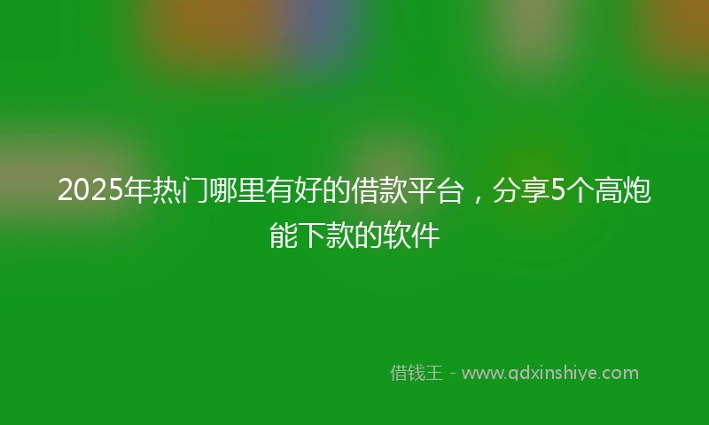 2025年热门哪里有好的借款平台，分享5个高炮能下款的软件