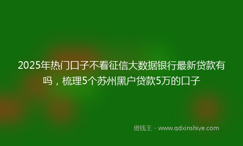 2025年热门口子不看征信大数据银行最新贷款有吗，梳理5个苏州黑户贷款5万的口子
