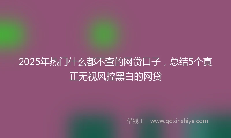 2025年热门什么都不查的网贷口子，总结5个真正无视风控黑白的网贷