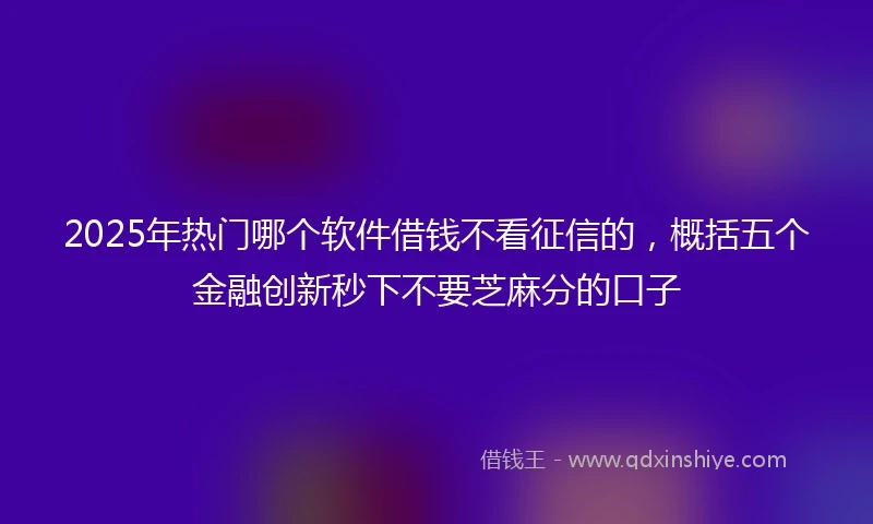 2025年热门哪个软件借钱不看征信的，概括五个金融创新秒下不要芝麻分的口子