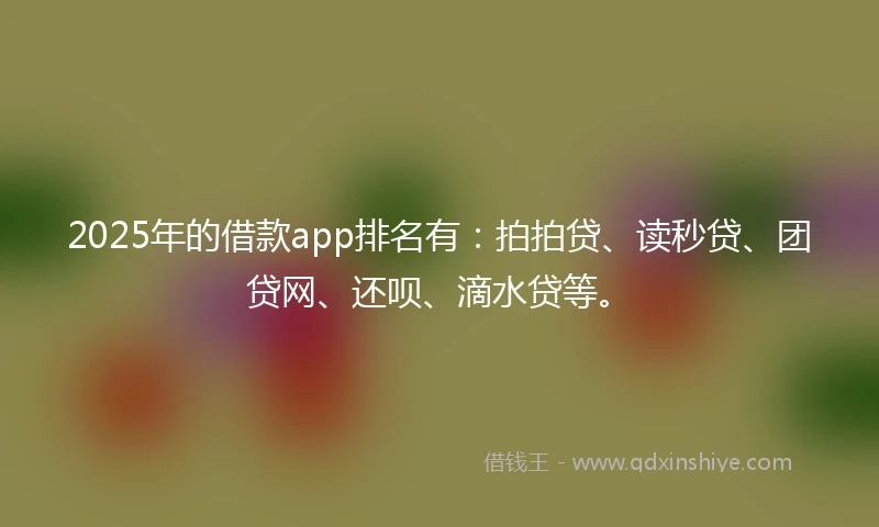 2025年的借款app排名有：拍拍贷、读秒贷、团贷网、还呗、滴水贷等。