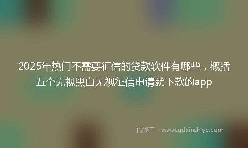 2025年热门不需要征信的贷款软件有哪些，概括五个无视黑白无视征信申请就下款的app