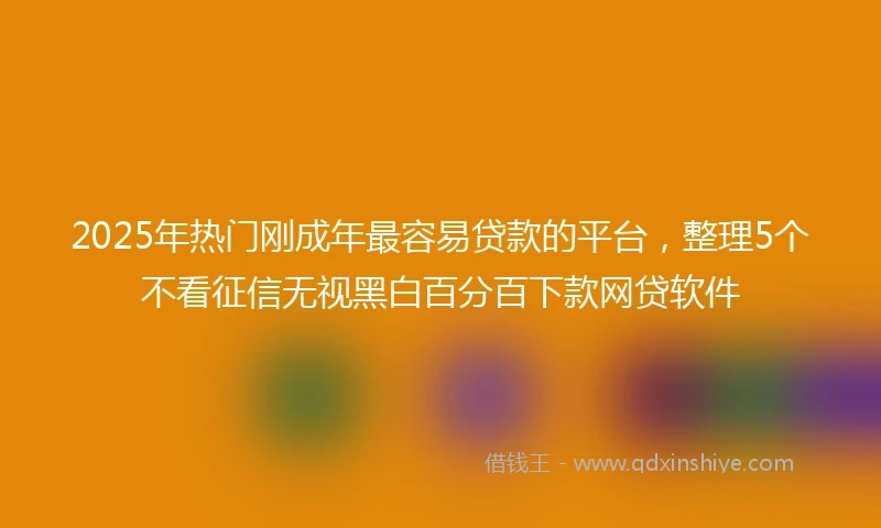 2025年热门刚成年最容易贷款的平台，整理5个不看征信无视黑白百分百下款网贷软件