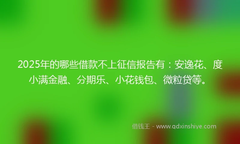 2025年的哪些借款不上征信报告有：安逸花、度小满金融、分期乐、小花钱包、微粒贷等。
