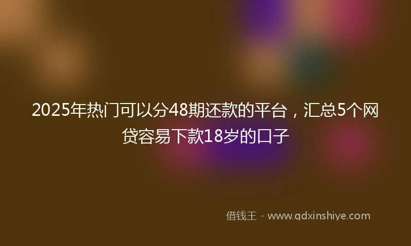 2025年热门可以分48期还款的平台，汇总5个网贷容易下款18岁的口子