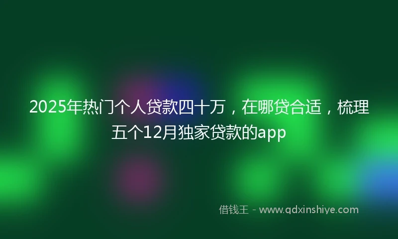 2025年热门个人贷款四十万，在哪贷合适，梳理五个12月独家贷款的app