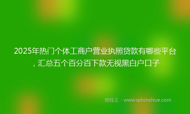 2025年热门个体工商户营业执照贷款有哪些平台,汇总五个百分百下款无视黑白户口子