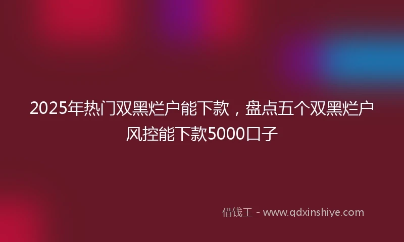 2025年热门双黑烂户能下款，盘点五个双黑烂户风控能下款5000口子
