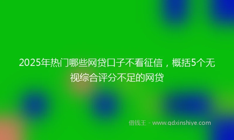 2025年热门哪些网贷口子不看征信,概括5个无视综合评分不足的网贷