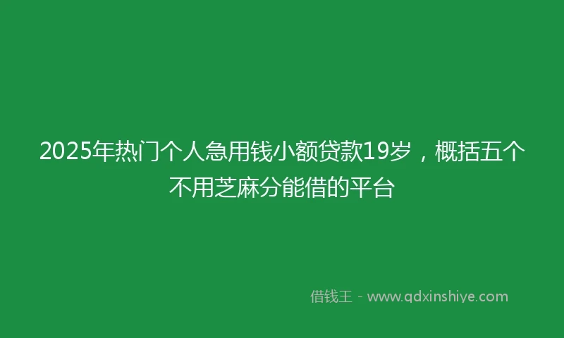 2025年热门个人急用钱小额贷款19岁,概括五个不用芝麻分能借的平台