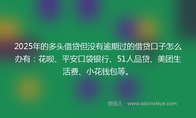 2025年的多头借贷但没有逾期过的借贷口子怎么办有：花呗、平安口袋银行、51人品贷、美团生活费、小花钱包等。