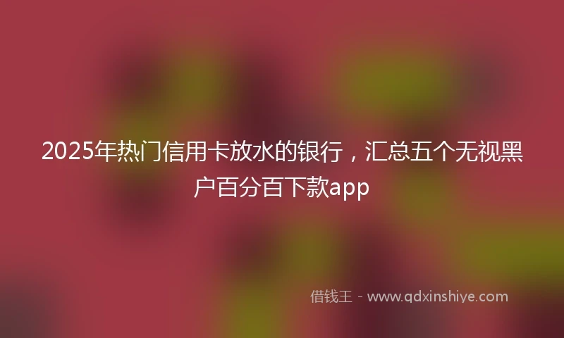 2025年热门信用卡放水的银行，汇总五个无视黑户百分百下款app