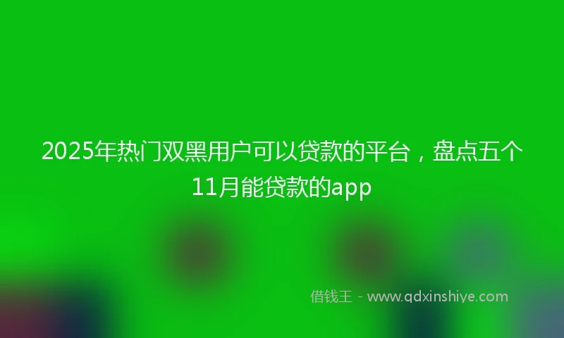 2025年热门双黑用户可以贷款的平台，盘点五个11月能贷款的app