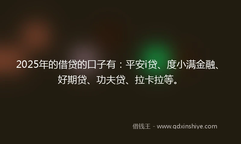 2025年的借贷的口子有：平安i贷、度小满金融、好期贷、功夫贷、拉卡拉等。