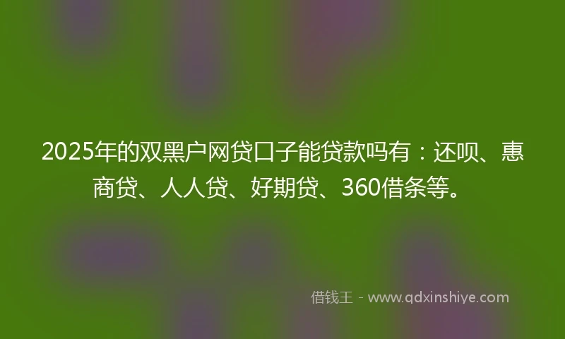2025年的双黑户网贷口子能贷款吗有：还呗、惠商贷、人人贷、好期贷、360借条等。