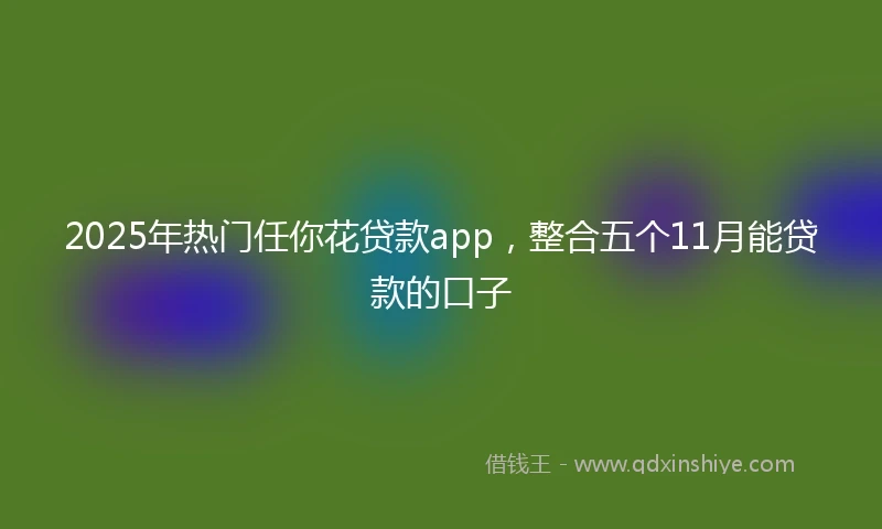2025年热门任你花贷款app，整合五个11月能贷款的口子