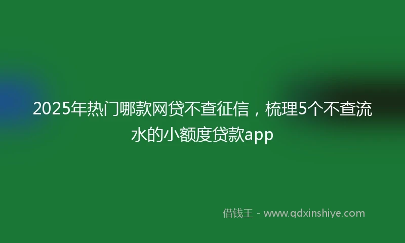 2025年热门哪款网贷不查征信，梳理5个不查流水的小额度贷款app