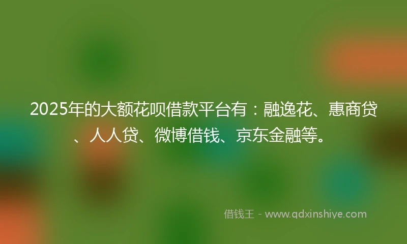 2025年的大额花呗借款平台有：融逸花、惠商贷、人人贷、微博借钱、京东金融等。