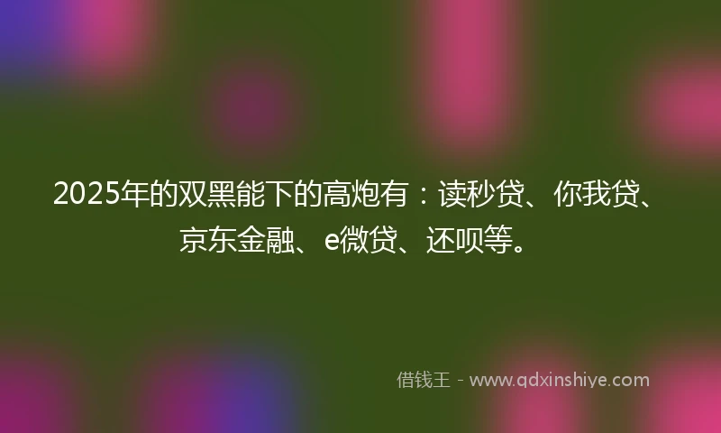2025年的双黑能下的高炮有：读秒贷、你我贷、京东金融、e微贷、还呗等。