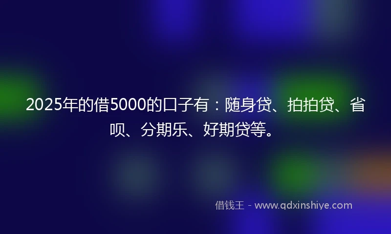 2025年的借5000的口子有：随身贷、拍拍贷、省呗、分期乐、好期贷等。