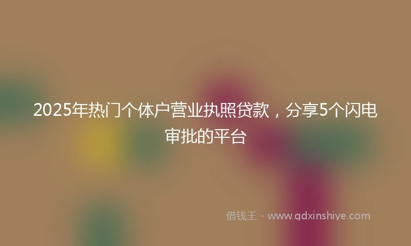 2025年热门个体户营业执照贷款，分享5个闪电审批的平台