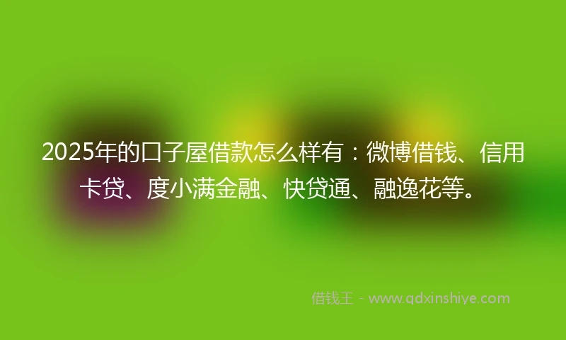 2025年的口子屋借款怎么样有：微博借钱、信用卡贷、度小满金融、快贷通、融逸花等。