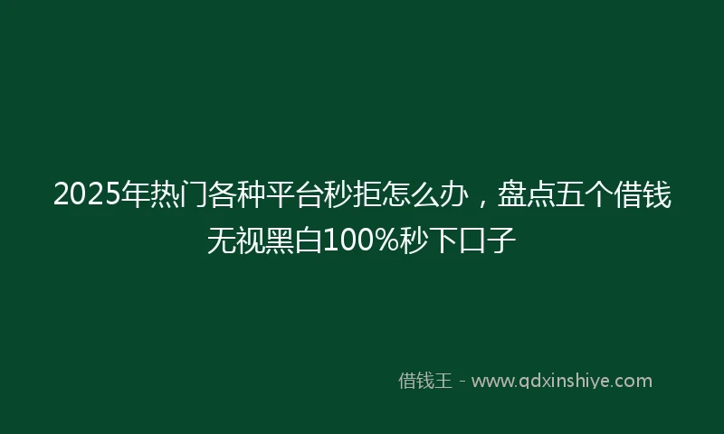 2025年热门各种平台秒拒怎么办，盘点五个借钱无视黑白100%秒下口子