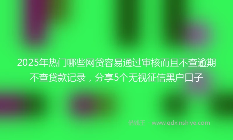 2025年热门哪些网贷容易通过审核而且不查逾期不查贷款记录，分享5个无视征信黑户口子