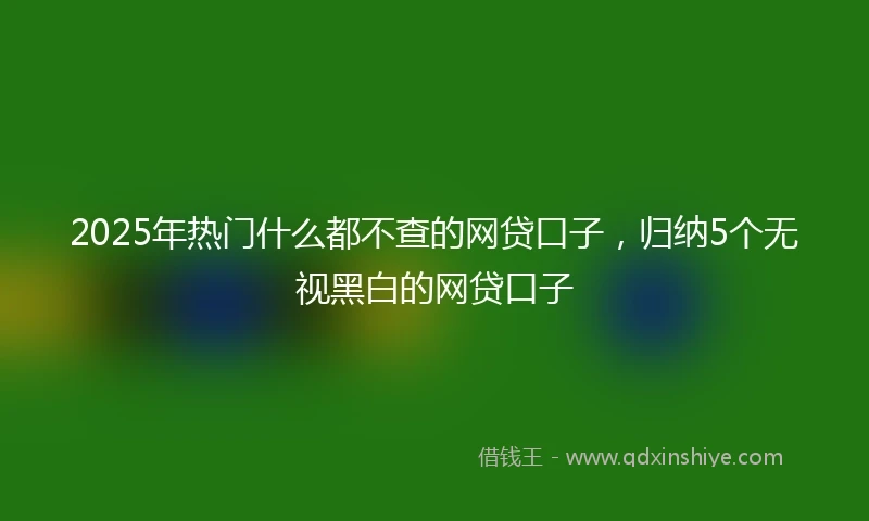2025年热门什么都不查的网贷口子，归纳5个无视黑白的网贷口子