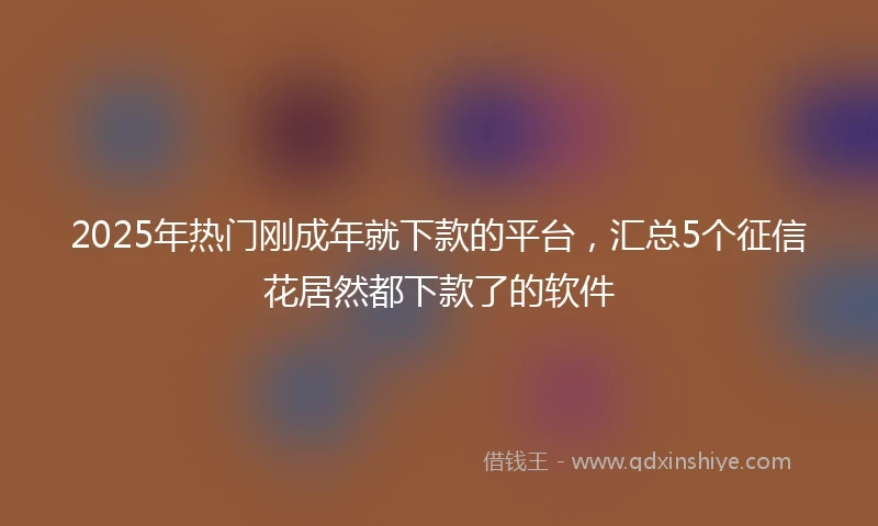 2025年热门刚成年就下款的平台，汇总5个征信花居然都下款了的软件