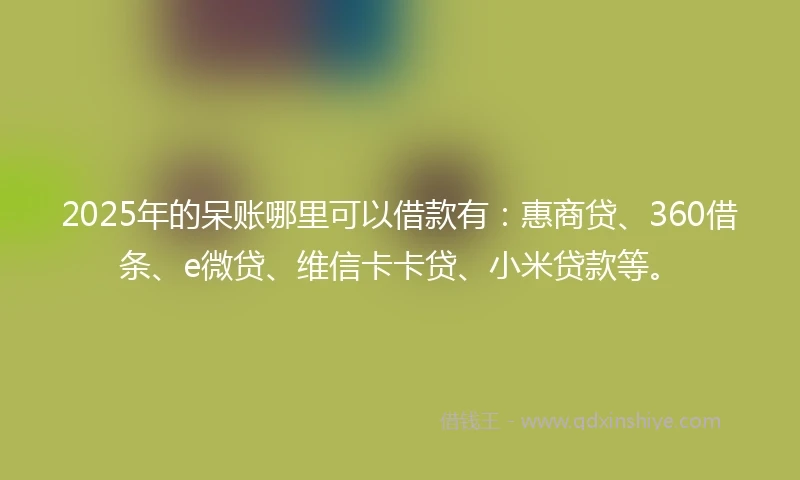 2025年的呆账哪里可以借款有：惠商贷、360借条、e微贷、维信卡卡贷、小米贷款等。