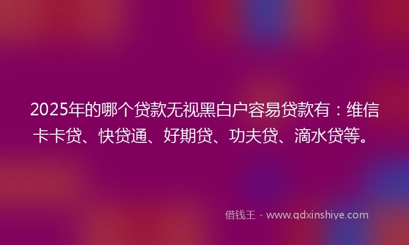 2025年的哪个贷款无视黑白户容易贷款有：维信卡卡贷、快贷通、好期贷、功夫贷、滴水贷等。
