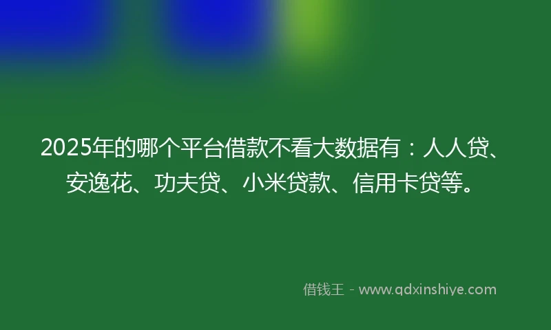 2025年的哪个平台借款不看大数据有：人人贷、安逸花、功夫贷、小米贷款、信用卡贷等。