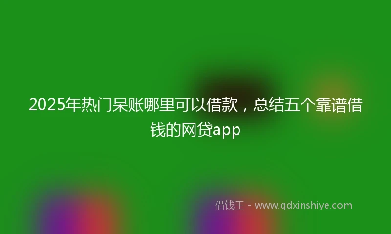 2025年热门呆账哪里可以借款，总结五个靠谱借钱的网贷app